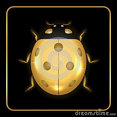 Ladybug gold insect small icon Vector Illustration