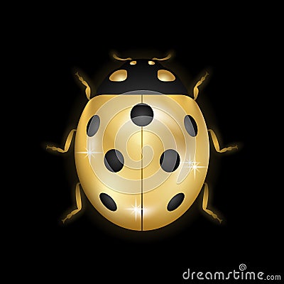 Ladybug gold insect small icon Vector Illustration