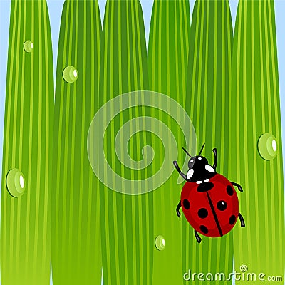 Ladybug on grass Vector Illustration