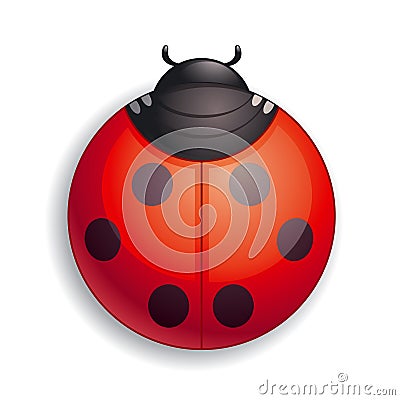 Ladybug icon Vector Illustration