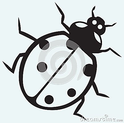 Ladybug Vector Illustration