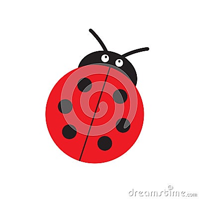 Ladybug or ladybird vector graphic illustration, isolated. Cute simple flat design of black and red lady beetle. Vector Illustration