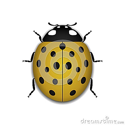Ladybug yellow realistic cartoon icon Vector Illustration