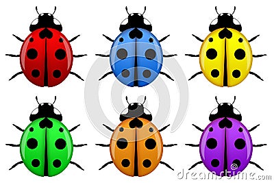 Ladybugs in Different Colors Isolated Stock Photo