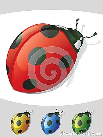 Ladybugs Vector Illustration
