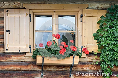 Red geraniums in a planter are hung on a window sill of a Tyrolean house Stock Photo