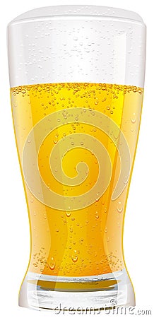 Lager beer in glass Vector Illustration