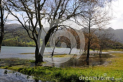 Lagoa azul das Sete Cidades Stock Photo