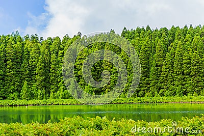 Lagoa do Canario Azores Stock Photo