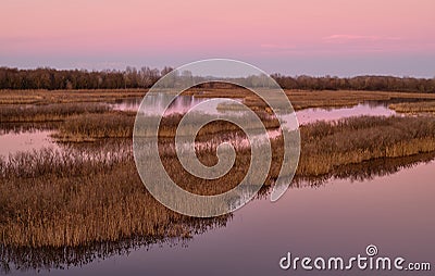 Lagoon of Caorle at sunset: spectacular sunset with a pink sky reflected in the water among the reeds Stock Photo