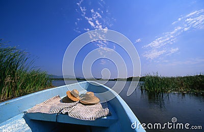 Lagoon Ride Reeds Stock Photo