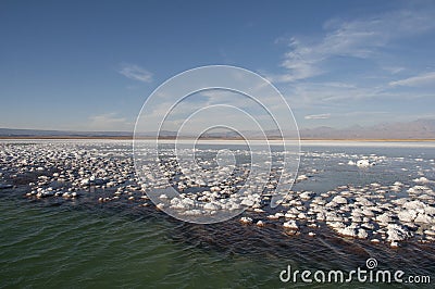 Lagoon saltwater, Chile Stock Photo