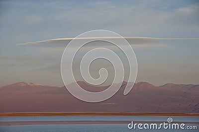 Lagoon saltwater, Chile Stock Photo