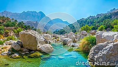 Lagoon with turqoise water in Wadi Tiwi in Oman Stock Photo