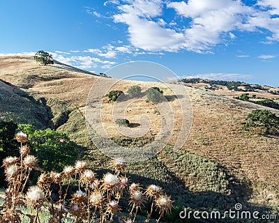 Lagoon Valley Park landscape Stock Photo