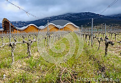 Laguardia, Alava, Spain. March 30, 2018: Vineyards of the wine cellar of Rioja premium called Ysios and part of the facade, with h Editorial Stock Photo