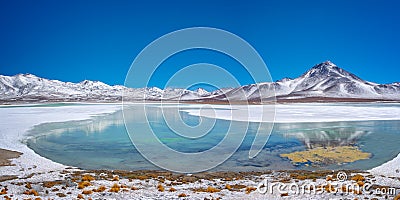 Laguna Blanca, Sud Lipez province, Potosi Bolivia Stock Photo