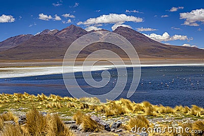 Laguna Canapa, Bolivia Stock Photo