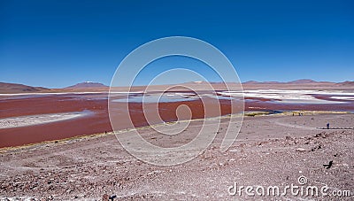 Laguna Colorada Red Lagoon, Bolivia Stock Photo