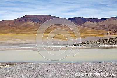 Laguna Grande in the Catamarca Province at Puna de Atacama, Argentina Stock Photo