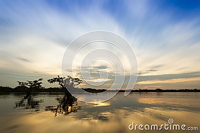 Laguna Grande Cuyabeno Ecuador Stock Photo