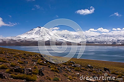 Laguna miscanti lake with volcano Stock Photo