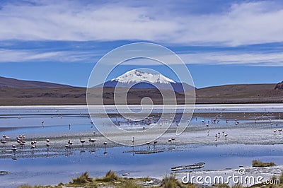 Laguna Pasto Grande, Bolivia, South America Stock Photo