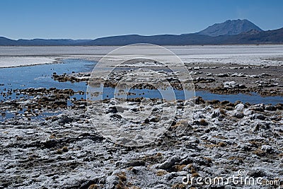 Laguna Salinas Blanca Stock Photo