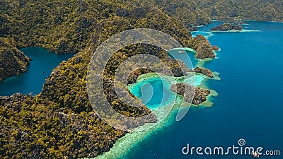 Laguna tropicale di vista aerea, mare, spiaggia Isola tropicale Busuanga, Palawan, Filippine Laguna tropicale di vista aerea, mare, spiaggia Isola tropicale Busuanga, Palawan, Filippine