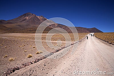 Lagunas Miscanti and Meniques Stock Photo