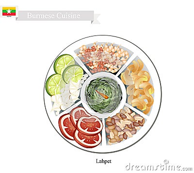 Lahpet or Burmese Pickled Tea Leaf Salad Vector Illustration