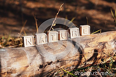 The laid out inscription nature from wooden cubes. Birch fallen tree in the autumn forest. The concept of nature conservation Stock Photo
