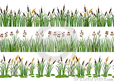 Lake aquatic plant borders. Seamless swamp cattails, marsh reed and strip of coastal river plants vector illustration Vector Illustration