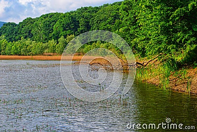 Lake Stock Photo