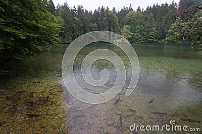 Lake Badersee in south Germany Stock Photo