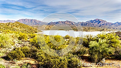 Lake Bartlett surrounded by the mountains and many Saguaro and other cacti in the desert landscape of Arizona Stock Photo