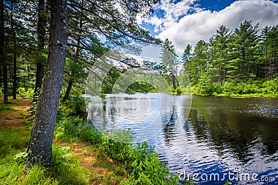 Lake at Bear Brook State Park, New Hampshire. Stock Photo