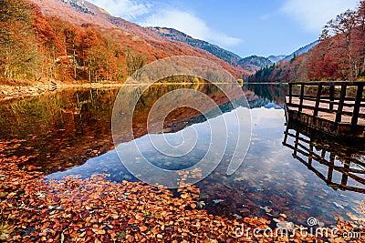 Lake Biograd (Biogradsko jezero), Biogradska Gora national park Stock Photo