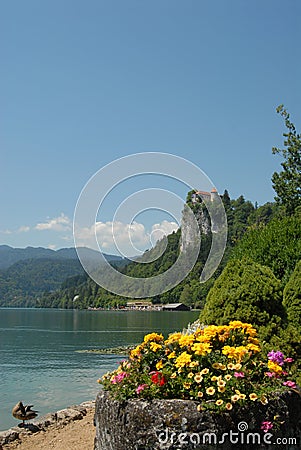 Lake of Bled Stock Photo