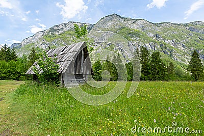 Lake Bohinj and Ukanc village in Triglav national park, Slovenia Stock Photo