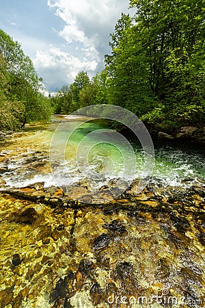 Lake Bohinj and Ukanc village in Triglav national park, Slovenia Stock Photo