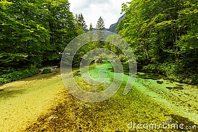 Lake Bohinj and Ukanc village in Triglav national park, Slovenia Stock Photo