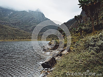 Lake Bujuku, Rwenzori Mountains Stock Photo