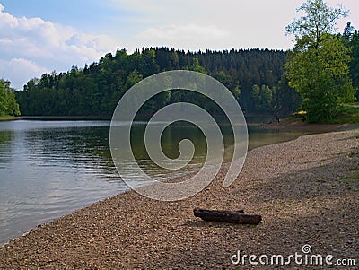 Lake coast with a log Stock Photo