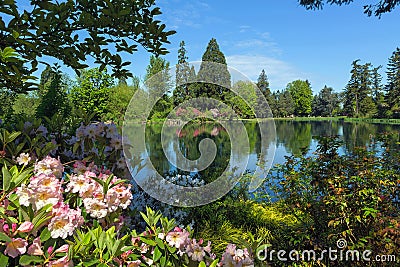 The Lake at Crystal Spring Rhododendron Garden Stock Photo