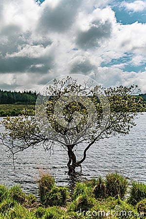 A lake in Dartmoor National Park Stock Photo