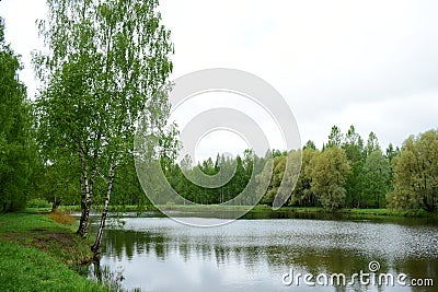 Lake in the depths of the forest. The beauty of the wild. Coniferous and deciduous trees grow in the forest. Cloudy Stock Photo