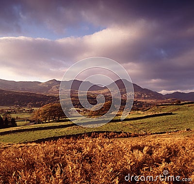 Lake district national park cumbria Stock Photo