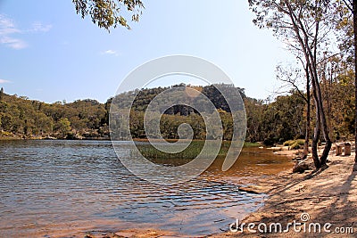 Lake at Dunns Swamp with Eucalypts Stock Photo