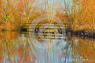 Lake in East Devon AONB Stock Photo